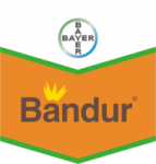 Bandur 5l