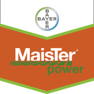 MaisTer power 5l