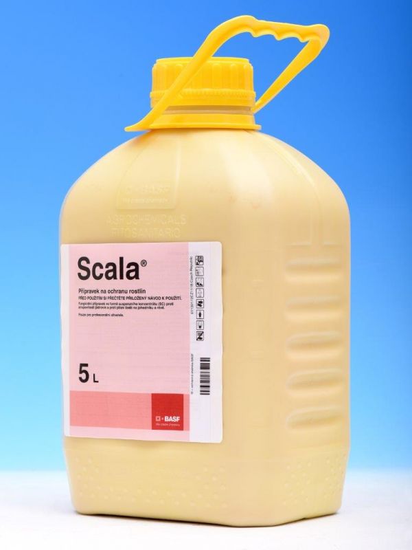 Scala 5l
