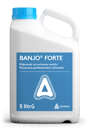 Banjo Forte 5l